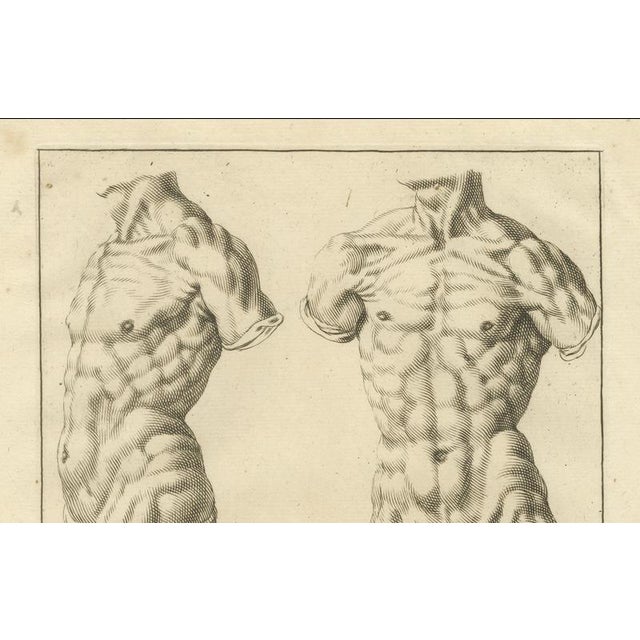 Mid 18th Century After De Lairesse, Male Torso Studies, 1745, Paper For Sale - Image 5 of 10