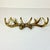 Gold Vintage Rustic Adirondack Arts & Crafts Faux Antler Wall Mounted Hooks. For Sale - Image 8 of 11
