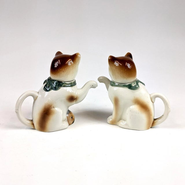A pair of porcelain hand painted cat teapots ready to be used for a party!