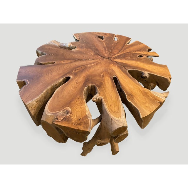 Wood Andrianna Shamaris Organic Teak Wood Round Coffee Table For Sale - Image 7 of 18