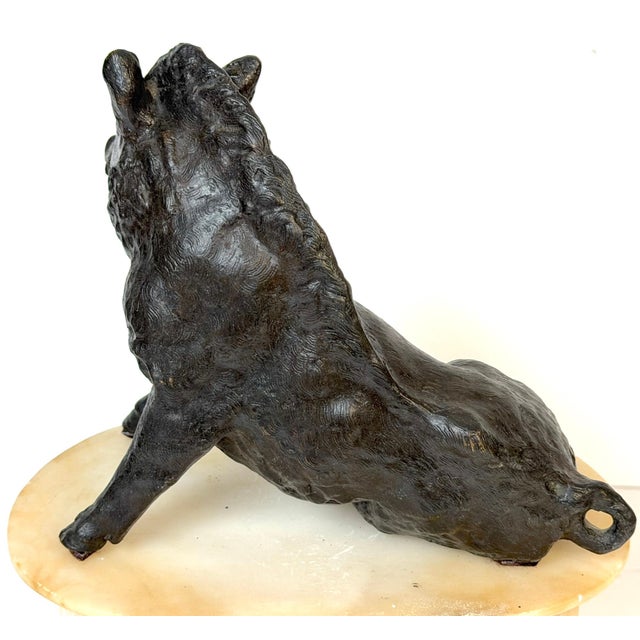 Grand Tour Bronze Reduction Il Porcellino “Borghese Boar” Carved Alabaster Base For Sale - Image 18 of 18