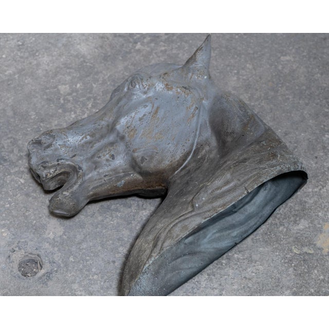 Antique Zinc Horse Head, 1900 For Sale - Image 4 of 7