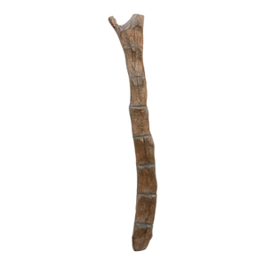 Robust 19th Century Cliff Dweller Dogon Ladder