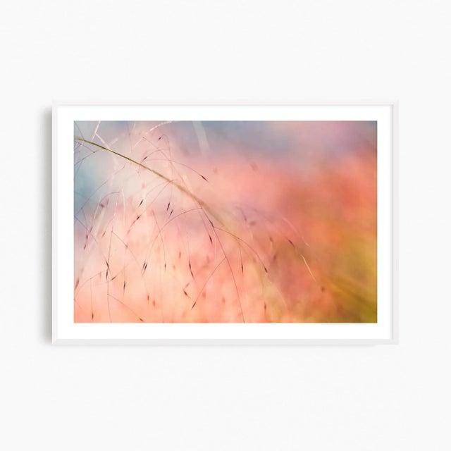 Not Yet Made - Made To Order 'In the Pink' Set of Botanical Photographs, Series of Four 45 X 30" Fine Art Photography Prints For Sale - Image 5 of 15