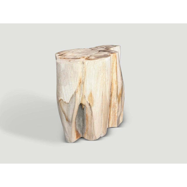 Contemporary Andrianna Shamaris Impressive High Quality Ancient Petrified Wood Side Table For Sale - Image 3 of 7
