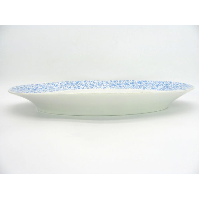 BDL (Bower & Dotter) of Limoges, France, ca. 1880s to 1920s With it's deep well, this platter is suitable for your...