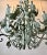 Mid 20th Century Mid 20th C. Iron Candelabra Chandelier For Sale - Image 5 of 7