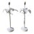 Vintage Tole Painted Metal Palm Tree Form Table Lamps, a Pair For Sale