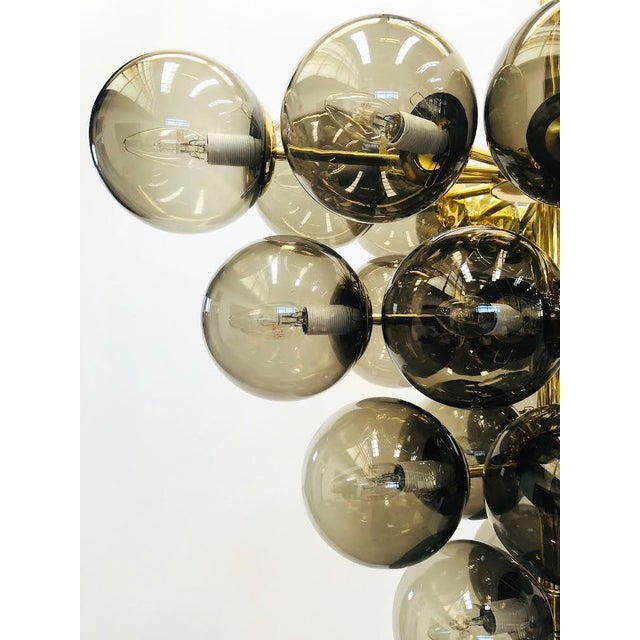 21st Century Italian Grappolo Polished Brass Smoky Murano Glass Chandelier by Fabio LTD For Sale - Image 6 of 7