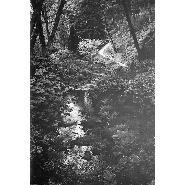 Paper "The English Garden" Book 1966 Hyams, Edward For Sale - Image 7 of 10