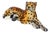 Vintage Italian Plaster Leopard Sculpture, 1960s For Sale
