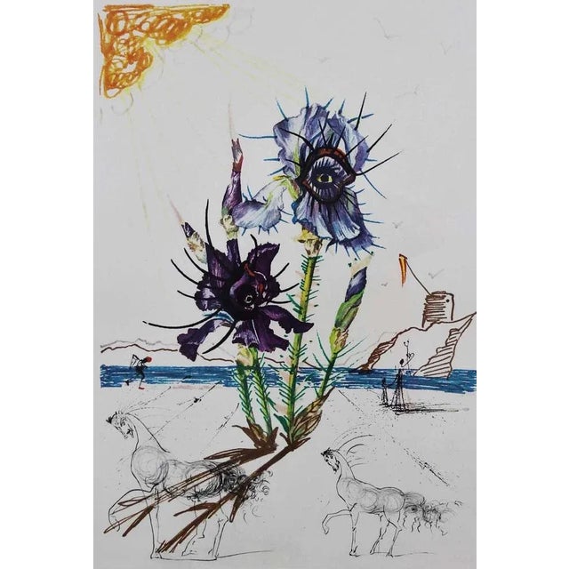 Large original lithograph by Salvador Dali entitled « Iris Dali’s Youth ». It represents a beach. In the sea there is an...