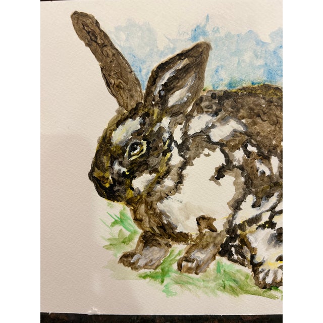 Elizabeth Berry Watercolor Painting of a Brown/White Rabbit For Sale - Image 4 of 8