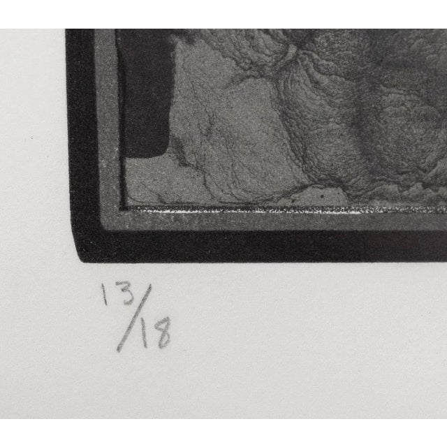 Jasper Johns "Viola Black State" Lithograph, 1972 For Sale In New York - Image 6 of 8