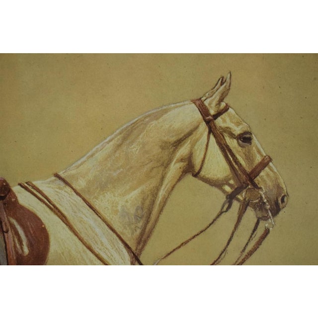 Cecil Aldin 'Activity' Polo Pony Hand-Colour Plate For Sale - Image 9 of 10