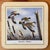 Mid 20th Century Vintage Traditional Duck Goose Waterfowl Coasters - Sset of 6 For Sale - Image 5 of 11