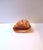 Brown Italian Cameo Shell Seashell, Neoclassical Style, Mid-20th Century, Italy For Sale - Image 8 of 8