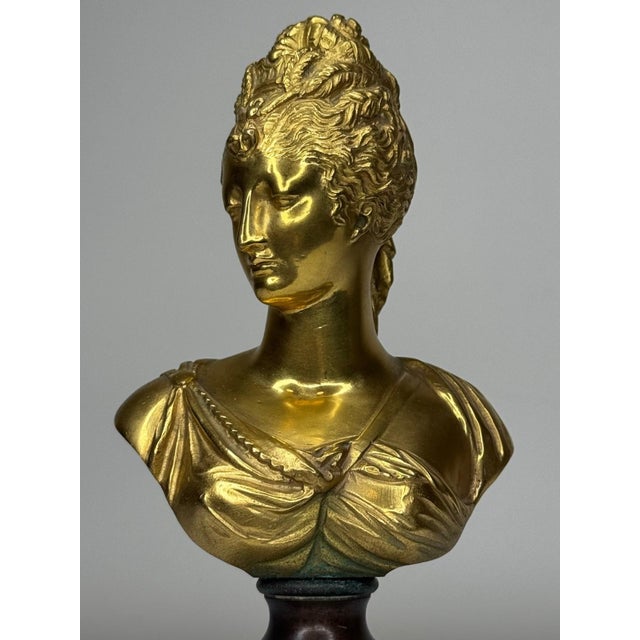 Late 19th Century Bronze Small Portrait Bust of Diana De Poitiers, After Jean-Antoine Houdon For Sale - Image 6 of 18