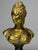 Late 19th Century Bronze Small Portrait Bust of Diana De Poitiers, After Jean-Antoine Houdon For Sale - Image 6 of 18