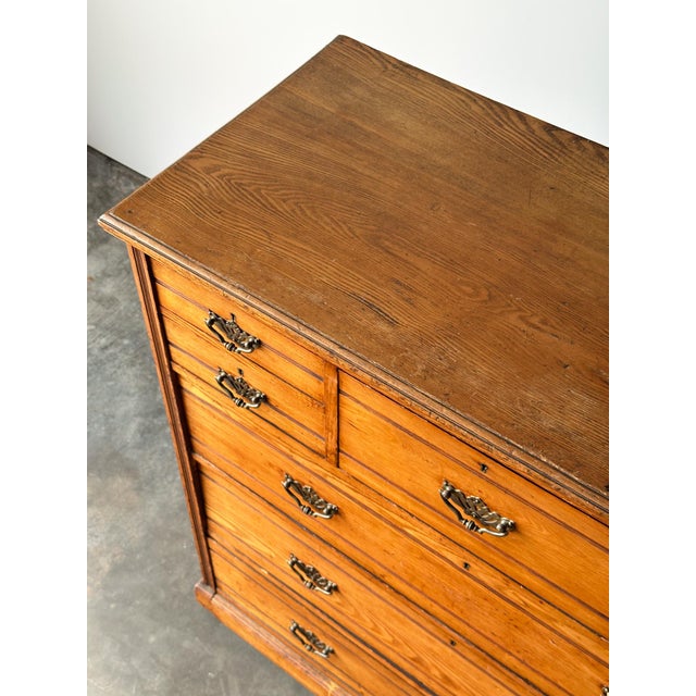 Jas Shoolbred & Co. Ash Chest of Drawers, England, 19th Century For Sale - Image 10 of 18