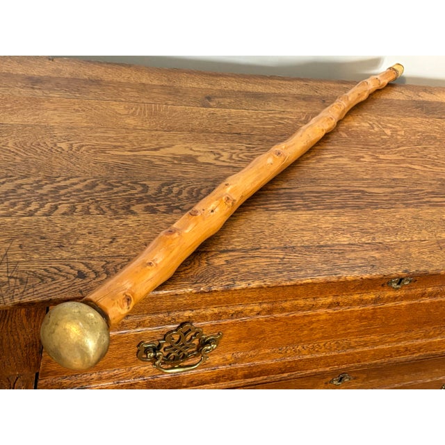 Wood Knobby Cane Walking Stick With Brass Ball Topper For Sale - Image 7 of 7