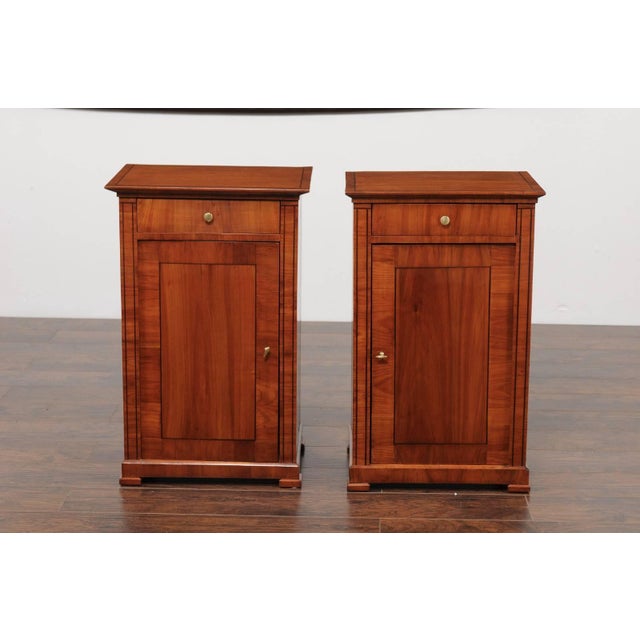 Pair of Austrian Biedermeier Cabinets with Single Drawer and Door, circa 1870 For Sale - Image 10 of 11