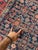 Antique Halvai Bidjar with Growing Vine Border Rug 4 x 20.3 For Sale - Image 14 of 14