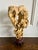 Wood Extraordinary Large Chinese Scholar Rock Yellow Taihu Stone on Wood Stand For Sale - Image 7 of 18