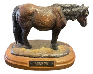 Bronze by Adryanna B.Ciera Entitled “Little Big Man “ Pony Original Prescott Arizona