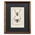 Early 19th Century Cabinet of Curiosities, Set of 9 | Buffon Natural History Engravings of Spiders, Insects & Reptiles For Sale - Image 4 of 11