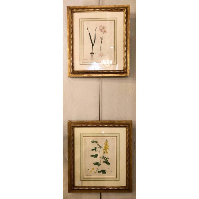 Two of the Hand Colored Botanist Repository Series 1797 Andrews, Henry 'British' For Sale - Image 9 of 13