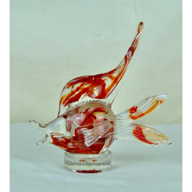 Red Murano Glass Fish from Murano, 1970s For Sale - Image 8 of 8