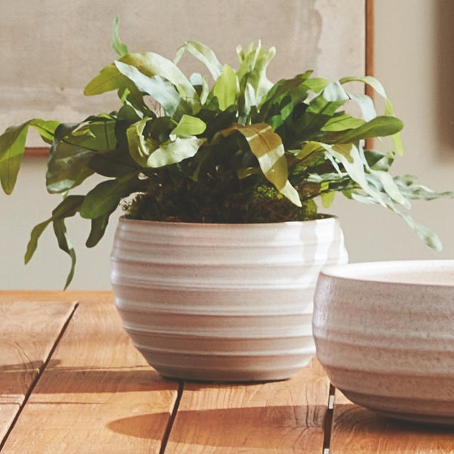 Kenneth Ludwig Chicago Chryssa Pot For Sale - Image 4 of 4