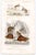 Original hand-colored lithograph print from a 1840s French natural history folio edited by the naturalist Alcide d'Orbigny...