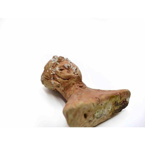 Sirio Pellegrini, Portrait Sculpture, 1960s, Terracotta For Sale - Image 4 of 5