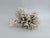 Exceptional Natural Brown Stem Coral Specimen For Sale - Image 10 of 11