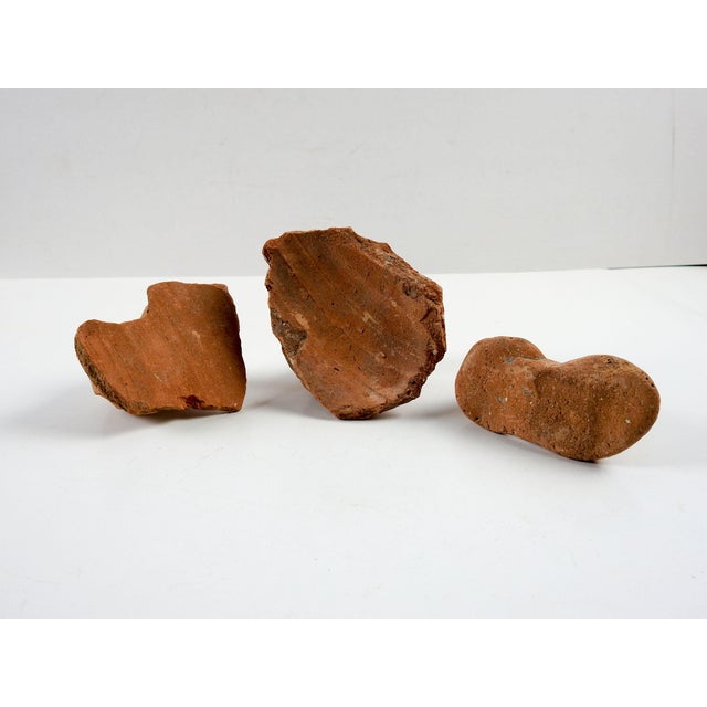 Ancient Mediterranean Pottery Handle Fragments Amphora Set of 3 For Sale - Image 4 of 4