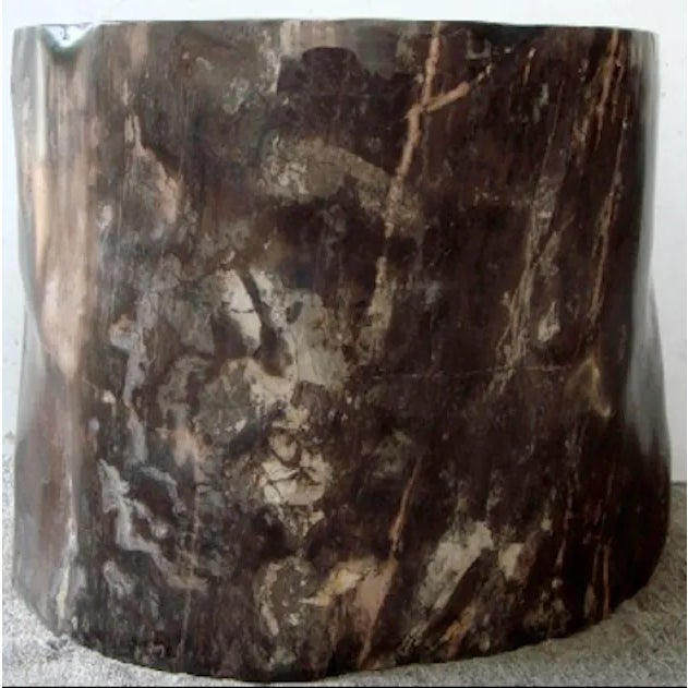 Petrified Mahogany Dims: 21”D x 20” W x 19” H Color: Black/Ebony, Cream and Natural tones Petrified Wood Petrified wood...