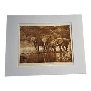 Contemporary 1920s African Safari Print