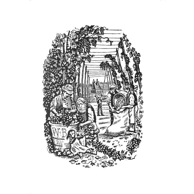 Paper "The Land & the Garden" 1989 Sackville-West, V. For Sale - Image 7 of 10