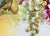 Antique Art Nouveau Jaeger & Co. Bavarian, A. Koch Grape Motif Porcelain Dessert Trio For Sale - Image 11 of 12