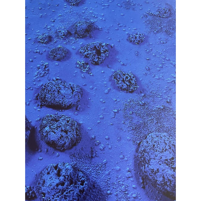 Yves Klein, Relief Éponge-Blue Re 17, 1960, Print For Sale - Image 6 of 7