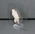 1980s Vintage 3-D Praying Hands Sculpture on Glass Panel With Acrylic Stand For Sale - Image 5 of 8