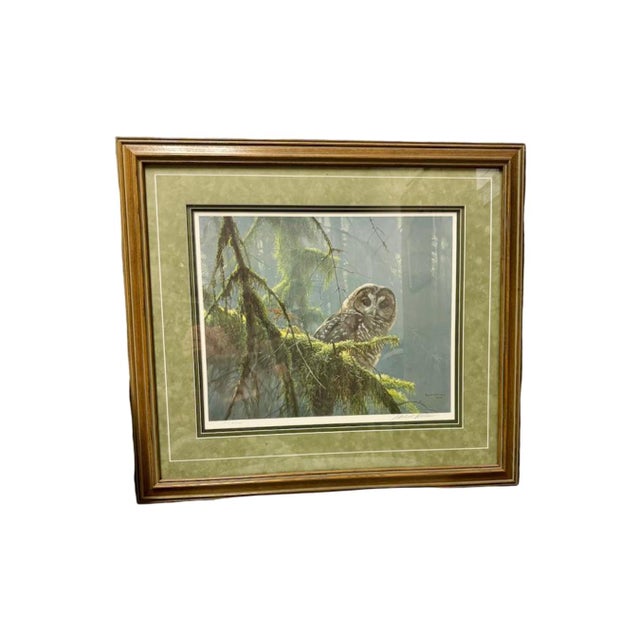 Robert Bateman Framed "Mossy Branches" 1989 Print. The image depicts a spotted owl perched amongst moss-covered branches...