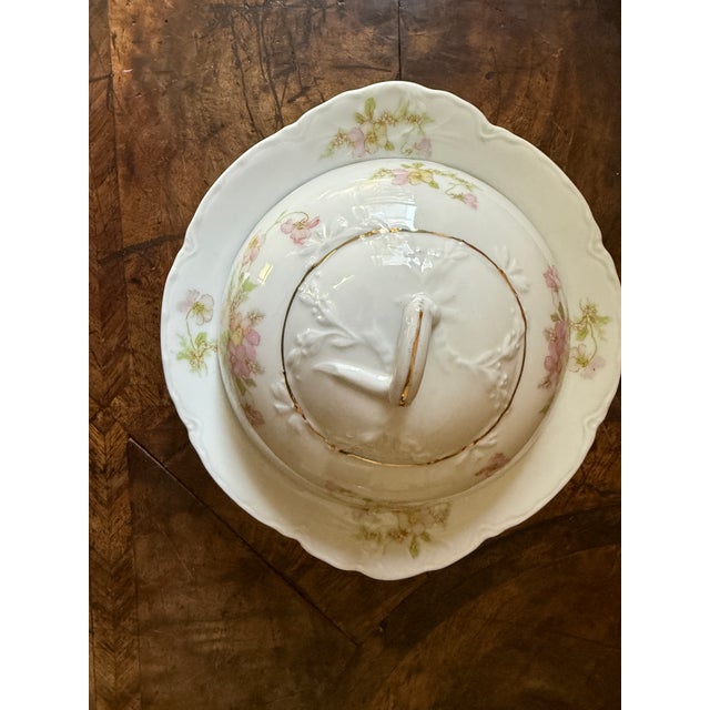Antique covered butter dish manufactured by Oscar and Edgar Gutherz in Altrohlau, Austria, now Stará Role in the Czech...
