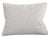 Schumacher Schumacher Chinoiserie Floral Feather/Down Pillow Set of Two For Sale - Image 4 of 5