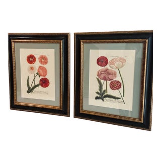 1990s Framed Botanical Prints - Set of 2 For Sale