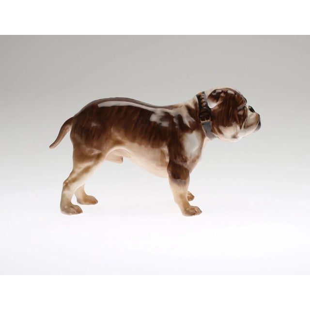 Bulldog - the national animal for the United Kingdom. Stamp of manufacturer "Royal Doulton" is one of the most renowned...