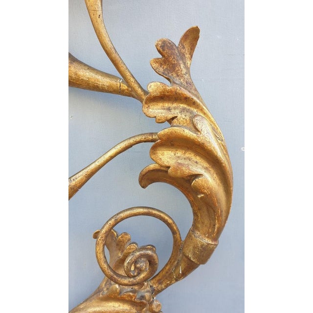 Wood Large 19th Century Sculpted Gilded Wood Wall Light, Tuscany, Italy For Sale - Image 7 of 14