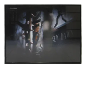 1992 Susan Wides Modern New York Photograph Chromogenic Print "New Dawn"